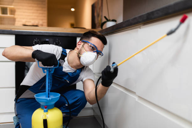 Best Emergency Pest Control  in Parkers Prairie, MN
