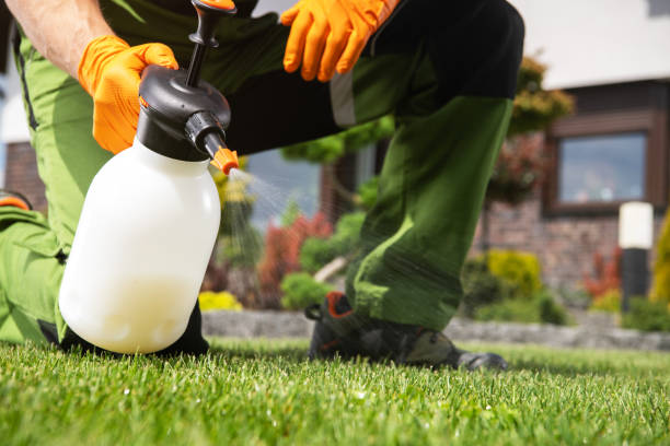 Best Cockroach Control Services  in Parkers Prairie, MN