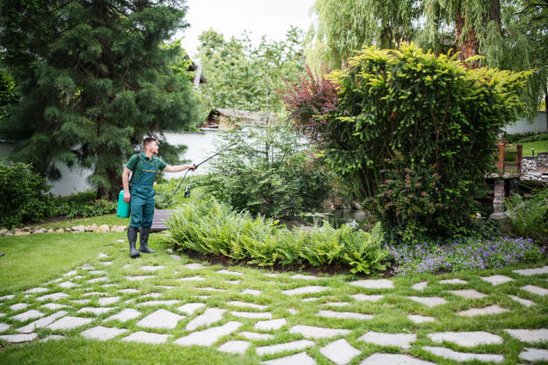 Trusted Parkers Prairie, MN Pest Control Experts