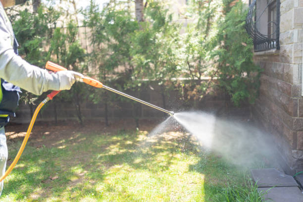 Best Affordable Pest Control Services  in Parkers Prairie, MN