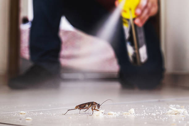 Best Affordable Pest Control Services  in Parkers Prairie, MN