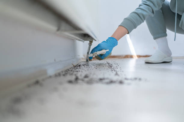 Best Commercial Pest Control Services  in Parkers Prairie, MN