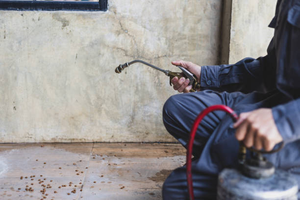 Best Exterminator Services  in Parkers Prairie, MN
