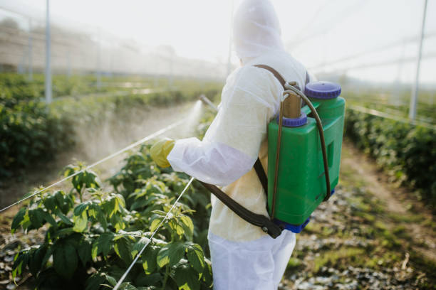  Parkers Prairie, MN Pest Control Pros